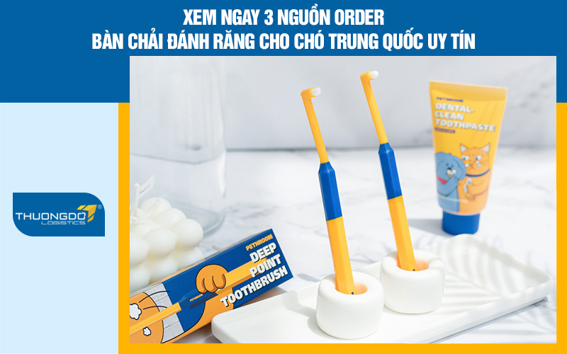 Xem ngay 3 nguồn order bàn chải đánh răng cho chó Trung Quốc uy tín