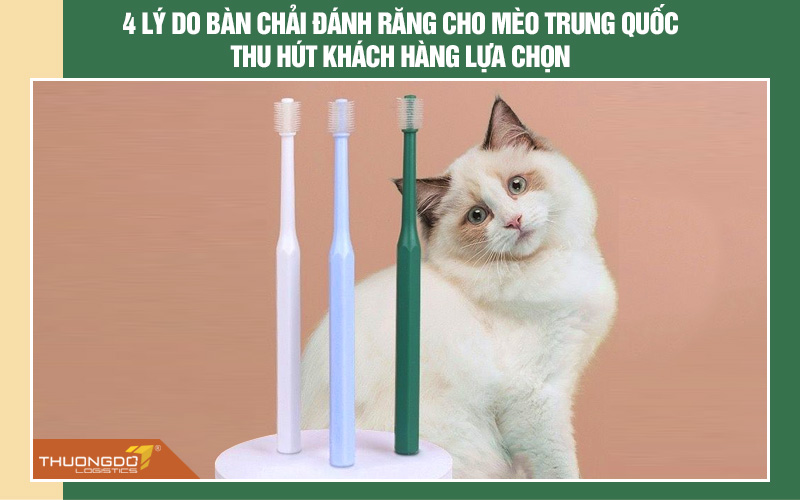 4 Lý do bàn chải đánh răng cho mèo Trung Quốc được chọn mua nhiều