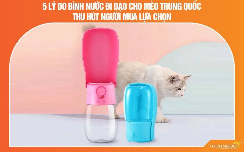 5 Lý do bình nước đi dạo cho mèo Trung Quốc thu hút người mua lựa chọn