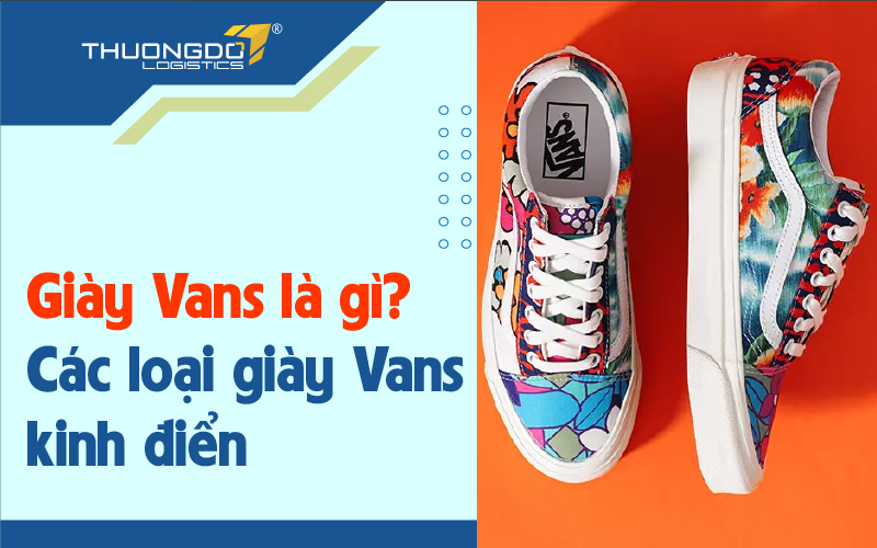 Giày Vans là gì? Gợi ý các loại giày Vans kinh điển