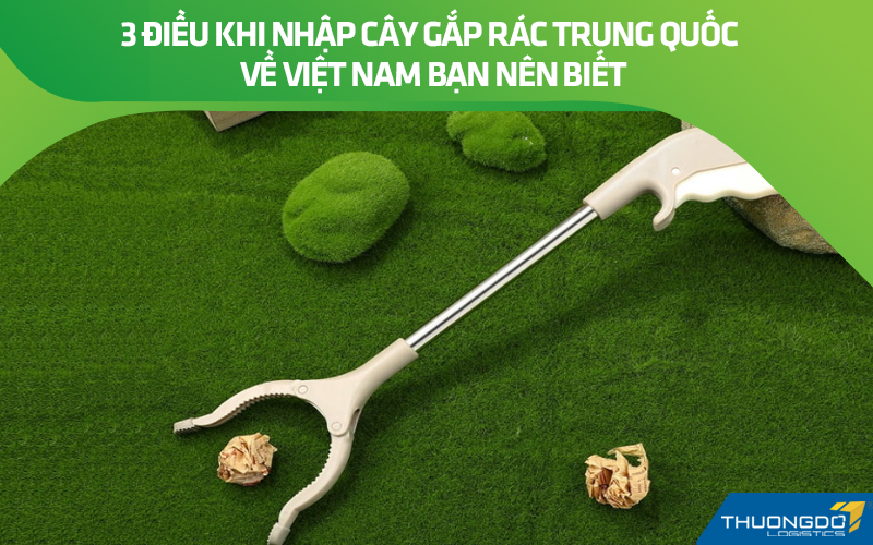 3 điều khi nhập cây gắp rác Trung Quốc về Việt Nam bạn nên biết