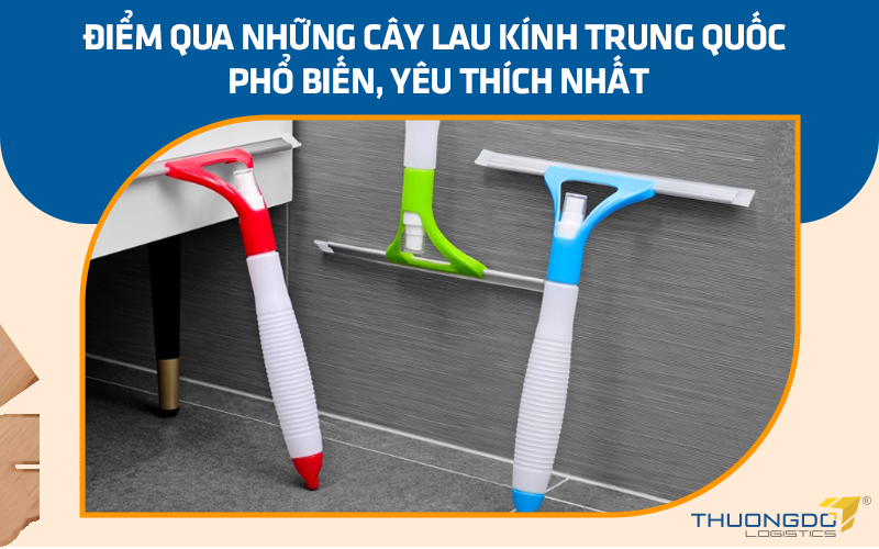 Điểm qua những cây lau kính Trung Quốc phổ biến, yêu thích nhất