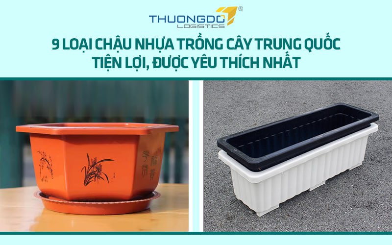 9 loại chậu nhựa trồng cây Trung Quốc tiện lợi, được yêu thích nhất