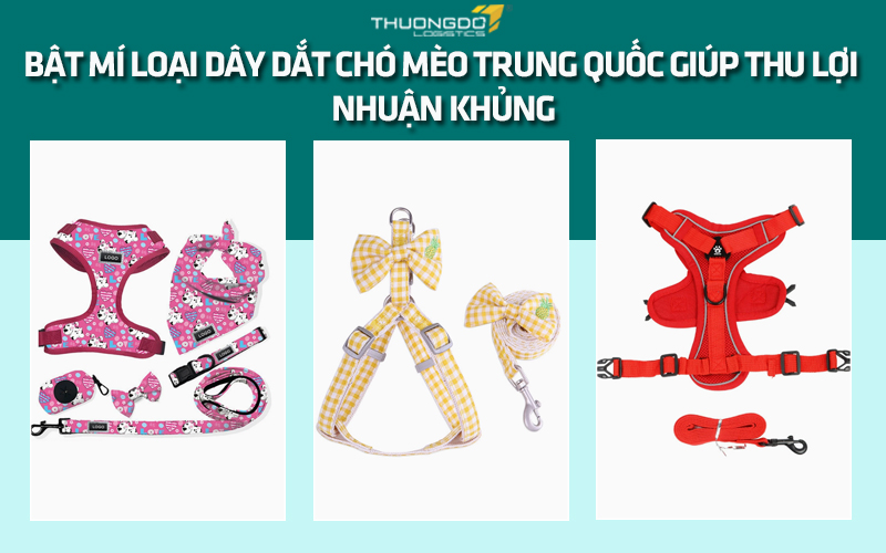 Bật mí 4 loại dây dắt chó mèo Trung Quốc giúp thu lợi nhuận khủng
