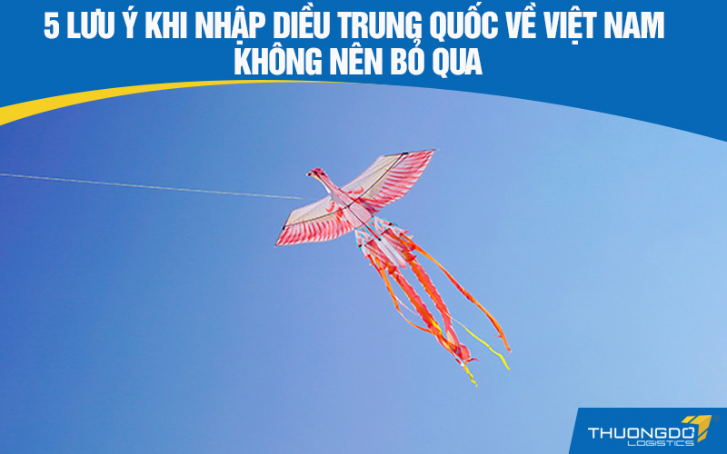 5 lưu ý khi nhập diều Trung Quốc về Việt Nam không nên bỏ qua