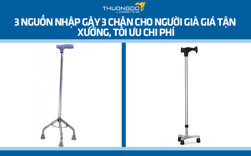 3 nguồn nhập gậy 3 chân cho người già giá tận xưởng, tối ưu chi phía
