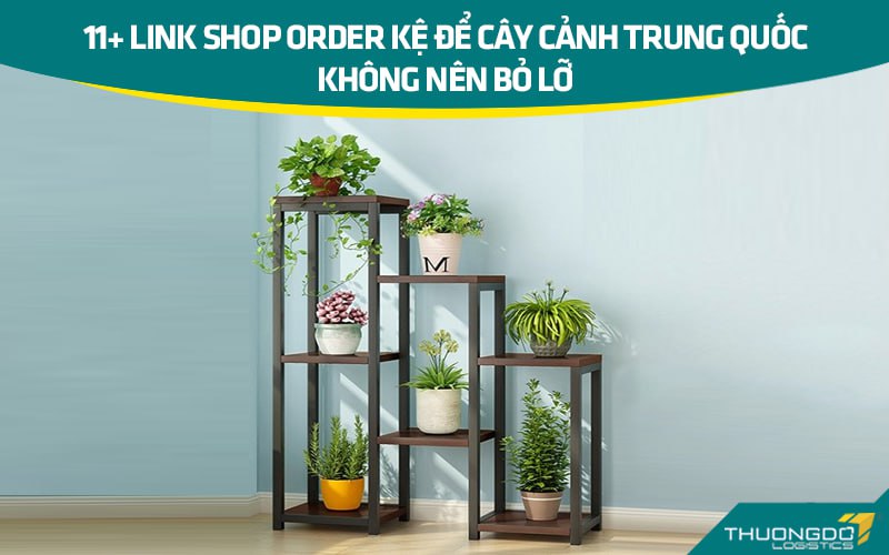 11+ link shop order kệ để cây cảnh Trung Quốc không nên bỏ lỡ