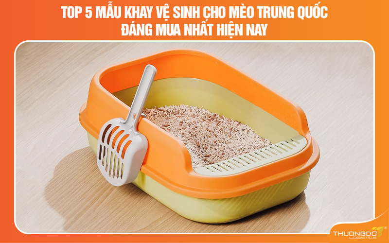 Top 5 mẫu khay vệ sinh cho mèo Trung Quốc đáng mua nhất hiện nay