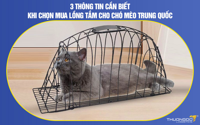 3 Thông tin cần biết khi chọn mua lồng tắm cho chó mèo Trung Quốc