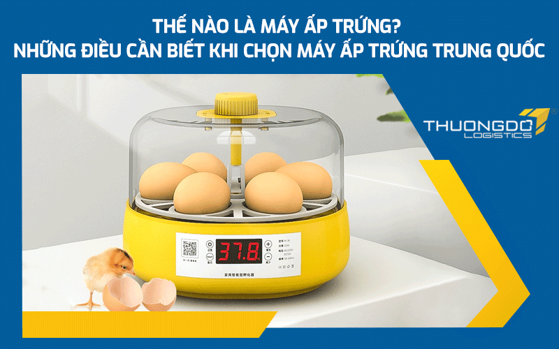 Những điều cần biết khi chọn máy ấp trứng Trung Quốc