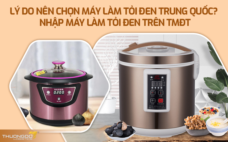 Lý do chọn máy làm tỏi đen Trung Quốc? Nhập máy làm tỏi đen trên TMĐT