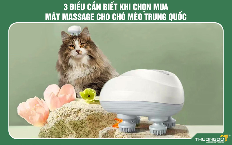 3 Điều cần biết khi chọn mua máy massage cho chó mèo Trung Quốc