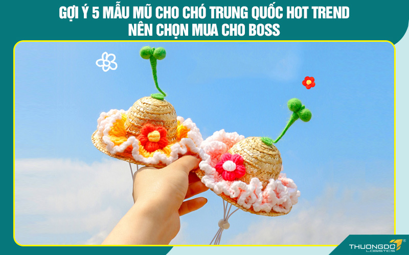 Gợi ý 5 mẫu mũ cho chó Trung Quốc hot trend nên chọn mua cho boss