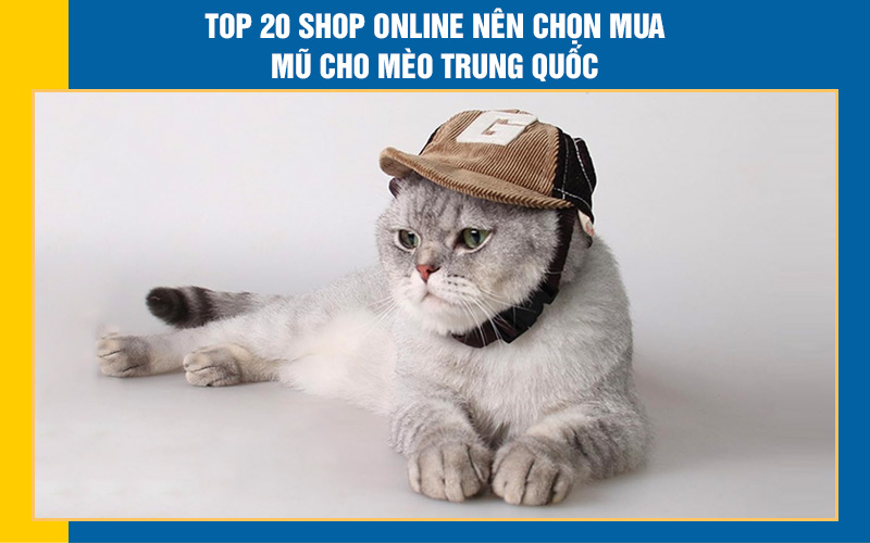 Top 20 shop online nên chọn mua mũ cho mèo Trung Quốc [MỚI NHẤT]