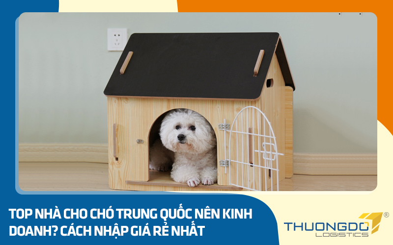Top nhà cho chó Trung Quốc nên kinh doanh? Cách nhập giá rẻ nhất