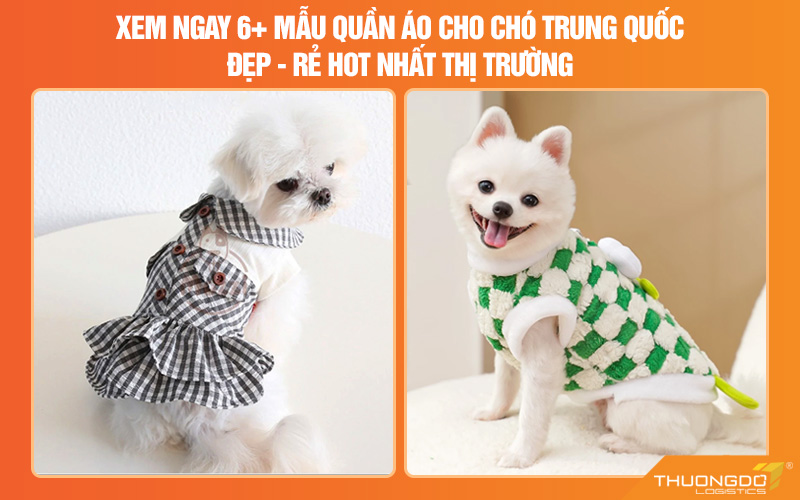 6+ mẫu quần áo cho chó Trung Quốc đẹp - rẻ hot nhất thị trường