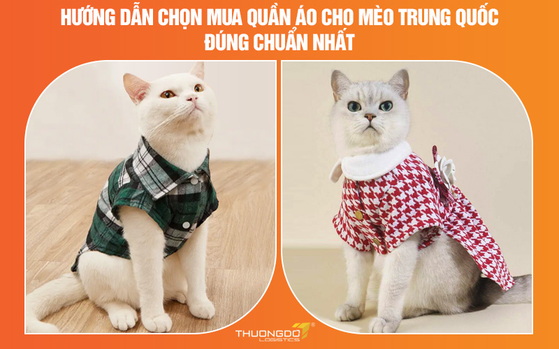 Hướng dẫn chọn mua quần áo cho mèo Trung Quốc đúng chuẩn chi tiết nhất