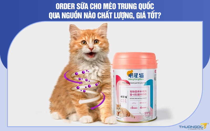 Order sữa cho mèo Trung Quốc qua nguồn nào chất lượng, giá tốt?