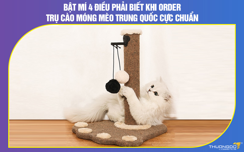 Bật mí 4 điều phải biết khi order trụ cào móng mèo Trung Quốc