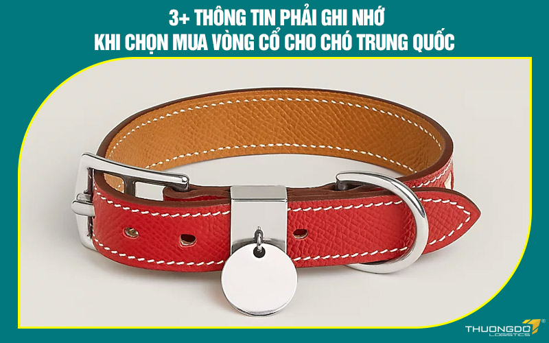 3+ Thông tin phải ghi nhớ khi chọn mua vòng cổ cho chó Trung Quốc