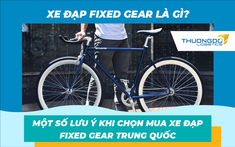Xe đạp fixed gear là gì? Một số lưu ý khi chọn mua xe đạp fixed gear T