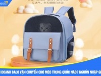 Kinh doanh balo vận chuyển chó mèo Trung Quốc nào? Nguồn nhập giá rẻ