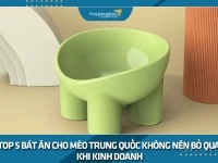 Top 5 bát ăn cho mèo Trung Quốc không nên bỏ qua khi kinh doanh