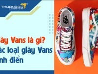 Giày Vans là gì? Gợi ý các loại giày Vans kinh điển