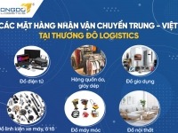 Các mặt hàng nhận vận chuyển từ Trung Quốc về Việt Nam tại Thương Đô Logistics