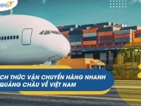 CÁCH  THỨC VẬN CHUYỂN HÀNG NHANH TỪ QUẢNG CHÂU VỀ VIỆT NAM 