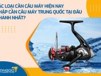 Các loại cần câu máy hiện nay - Nhập cần câu máy Trung Quốc tại đâu nhanh nhất? 