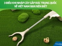 3 điều khi nhập cây gắp rác Trung Quốc về Việt Nam bạn nên biết