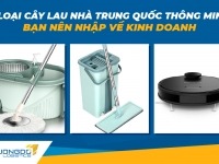 3 loại cây lau nhà Trung Quốc thông minh bạn nên nhập về kinh doanh