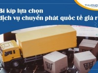 Tiết lộ bí kíp lựa chọn dịch vụ chuyển phát quốc tế giá rẻ