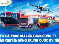Nắm vững những tiêu chí vàng khi chọn công ty vận chuyển hàng Trung Quốc uy tín
