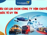 Lựa chọn các công ty vận chuyển quốc tế uy tín dựa vào các tiêu chí nào?