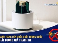 Nguồn hàng đèn đuổi muỗi Trung Quốc chất lượng giá thành rẻ