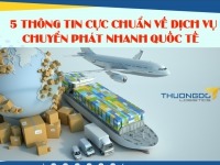 5 thông tin cực chuẩn về dịch vụ chuyển phát nhanh quốc tế