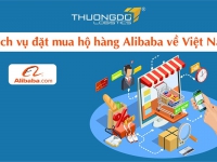 Dịch vụ đặt mua hộ hàng Alibaba về Việt Nam