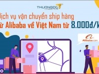 Dịch vụ vận chuyển hàng từ Alibaba về Việt Nam