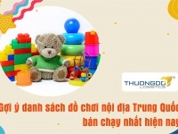 Những loại đồ chơi nội địa Trung Quốc bán chạy nhất năm 2024