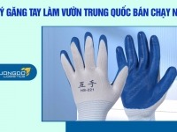 Gợi ý găng tay làm vườn Trung Quốc bán chạy nhất nên mua về