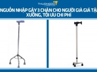 3 nguồn nhập gậy 3 chân cho người già giá tận xưởng, tối ưu chi phí