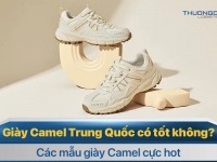 Giày Camel Trung Quốc có tốt không? Các mẫu giày Camel cực hot 