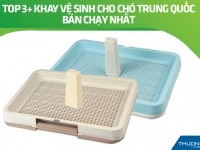 Top 3+ khay vệ sinh cho chó Trung Quốc bán chạy nhất, link shop uy tín