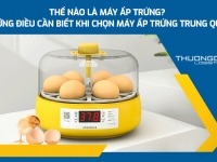 Thế nào là máy ấp trứng? Những điều cần biết khi chọn máy ấp trứng Trung Quốc