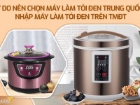 Lý do nên chọn máy làm tỏi đen Trung Quốc? Nhập máy làm tỏi đen trên TMĐT