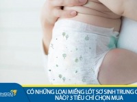 Có những loại miếng lót sơ sinh Trung Quốc nào? 3 tiêu chí chọn mua