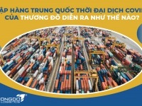 Nhập hàng Trung Quốc thời đại dịch covid-19 của Thương Đô diễn ra như thế nào?