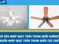 Có nên nhập quạt trần Trung Quốc không? Nguồn nhập quạt trần Trung Quốc cực chất